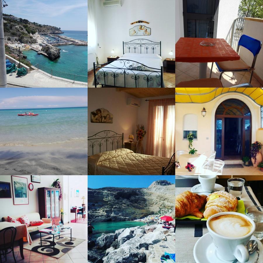 Li Pusciai Bed & Breakfast Cocumola Eksteriør bilde
